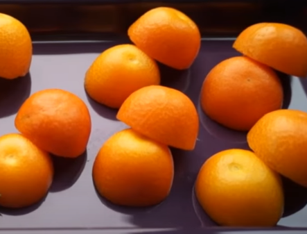 금귤골라내는법