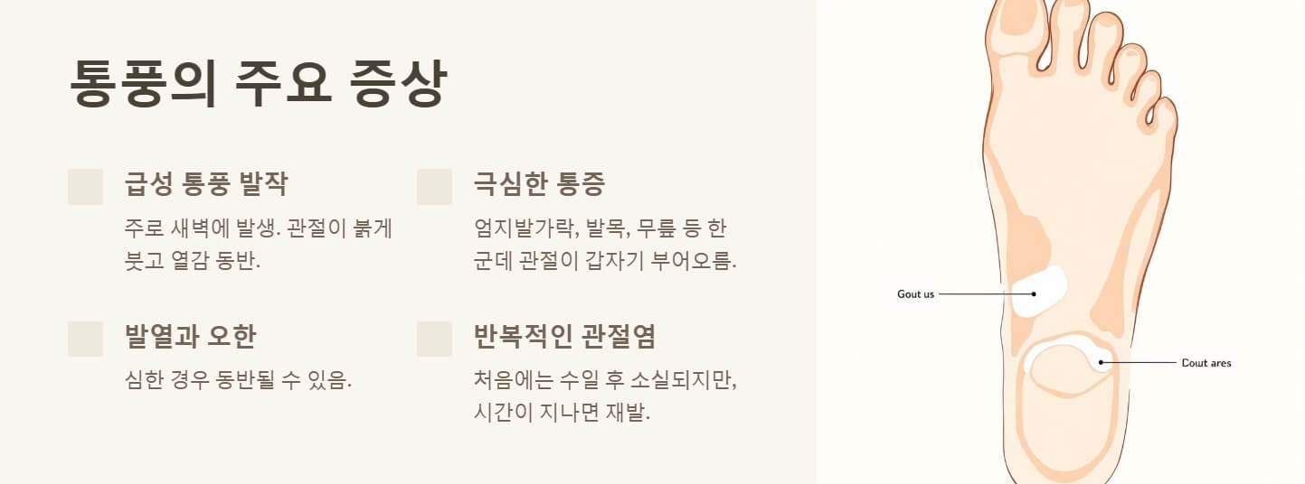 통풍 증상 원인