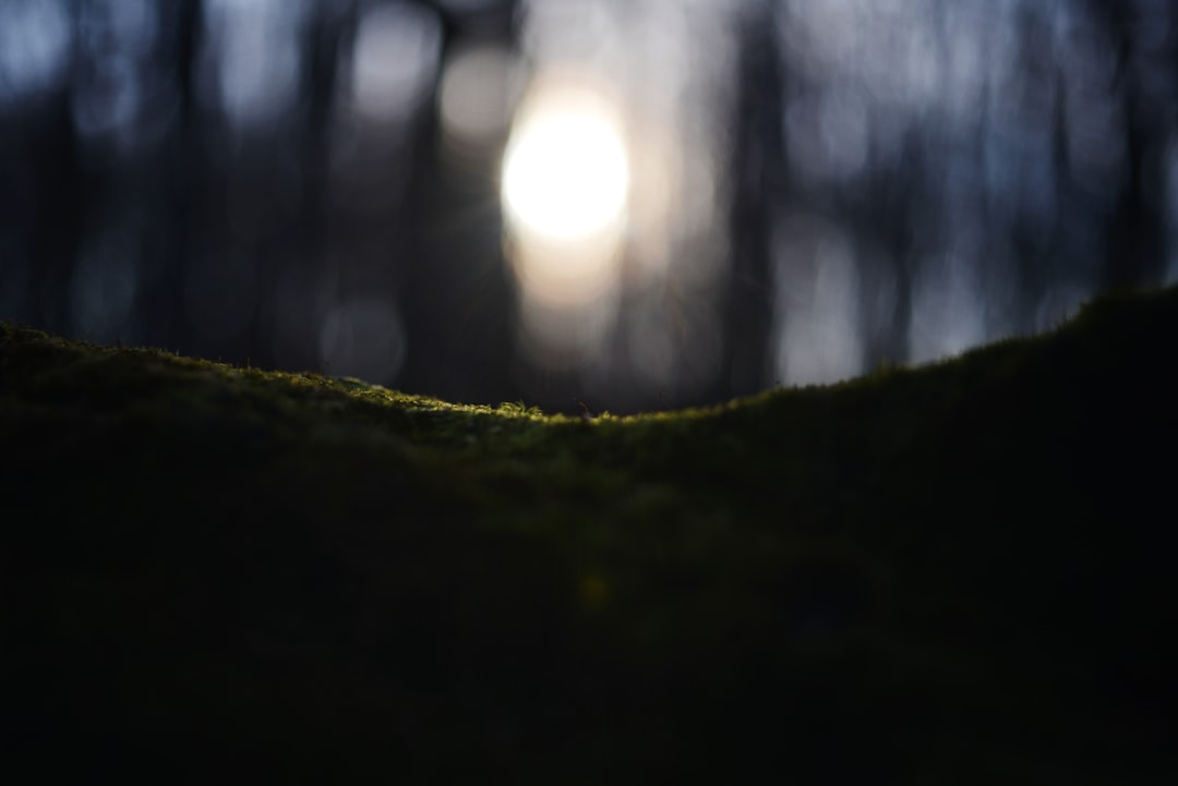 Radiance