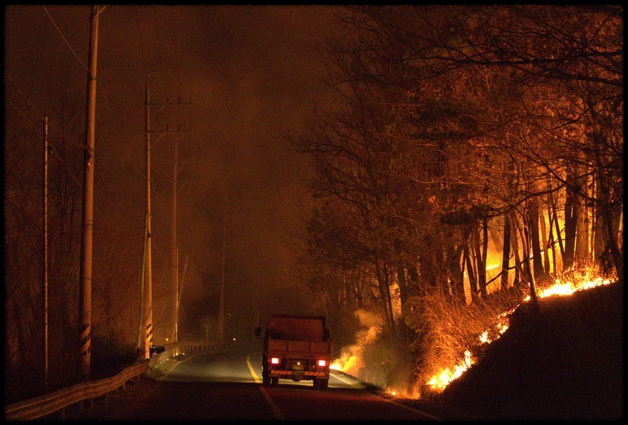 특별재난지역 관련 사진