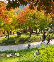 화담숲 예약 할인