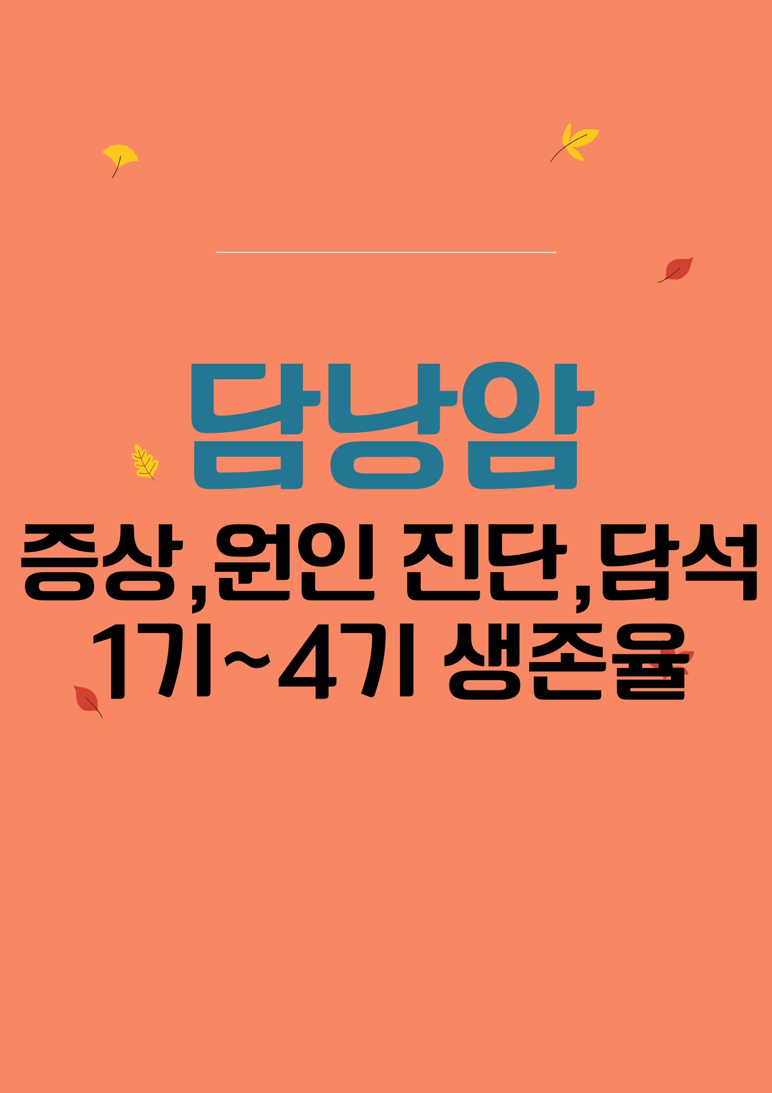 담낭암 (증상,원인, 진단법, 1기~4기 생존율, 담석 줄이기,,)