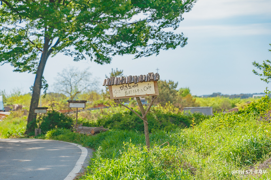 미즈노씨네 트리하우스 카페