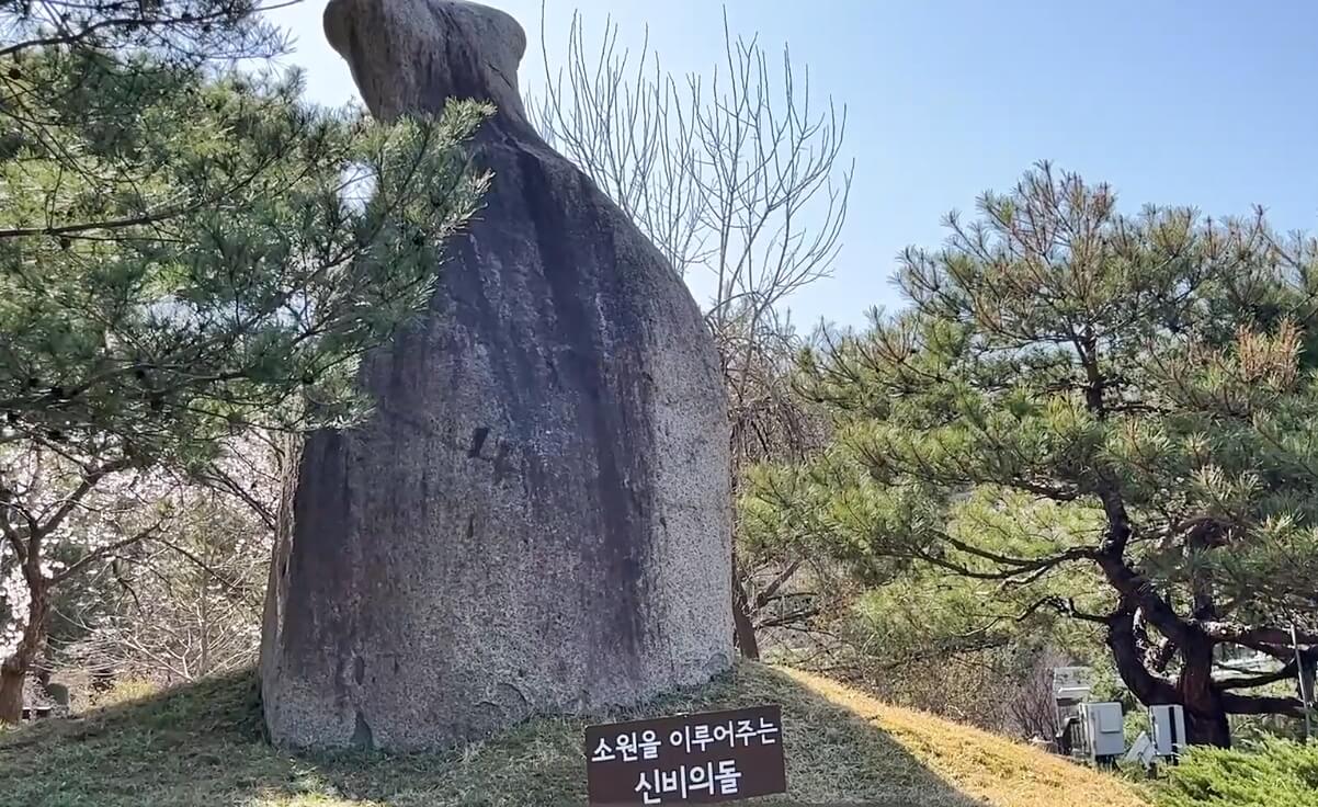 이안숲속