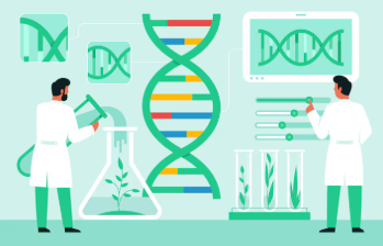 바이로메트릭 리듬