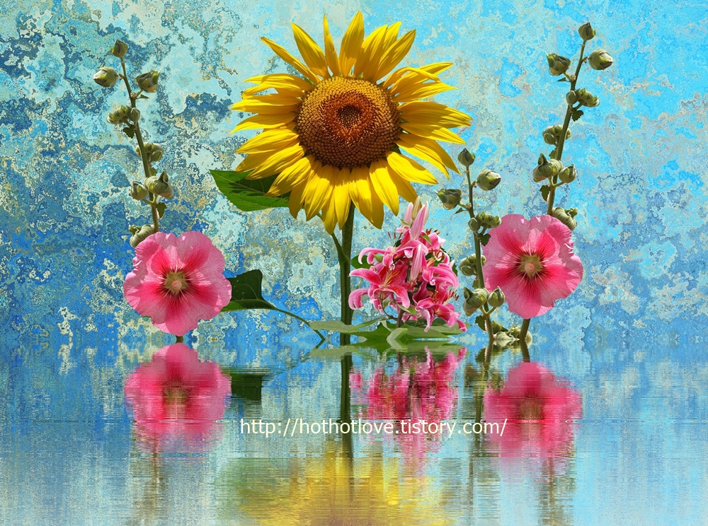 인도 여행, 인도의 역사