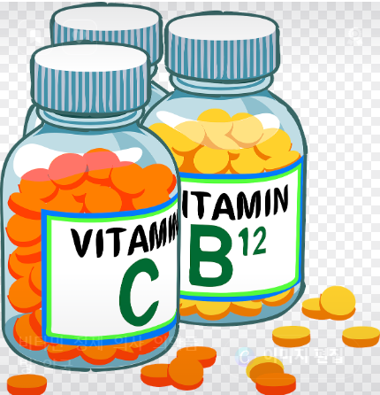 비타민과 미네랄의 역할