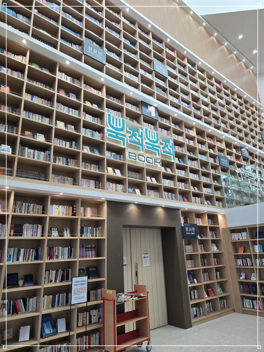 양평도서관-실내-1층로비-책진열