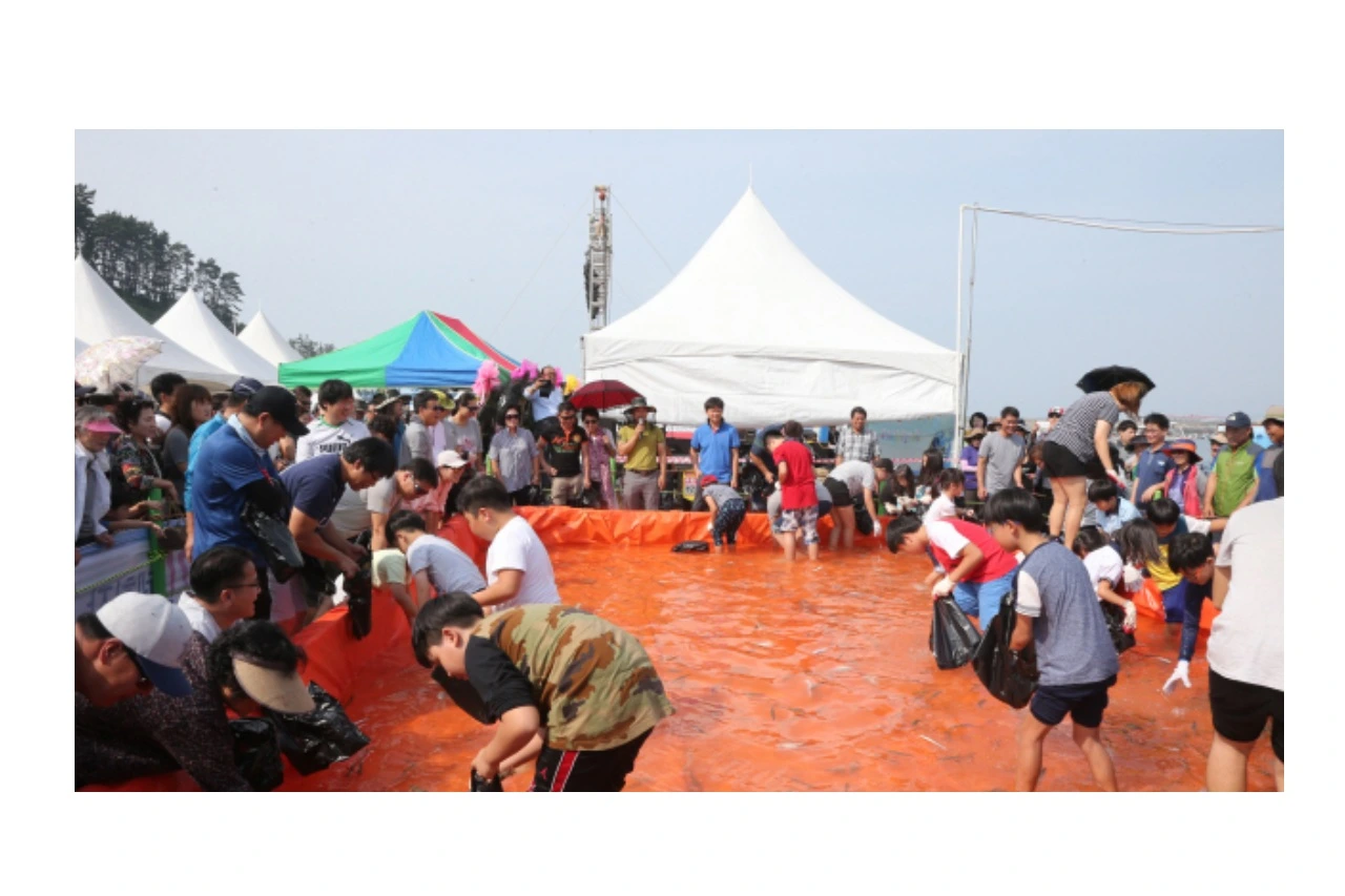 전어 축제 2025, 서천 홍원항 자연산 전어 꽃게 축제