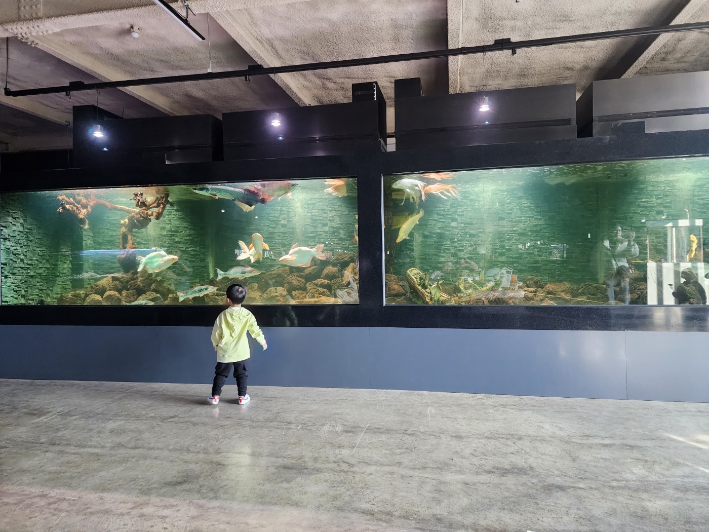 아쿠아리움카페 더키홀