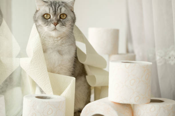 수분 섭취와 소화 건강