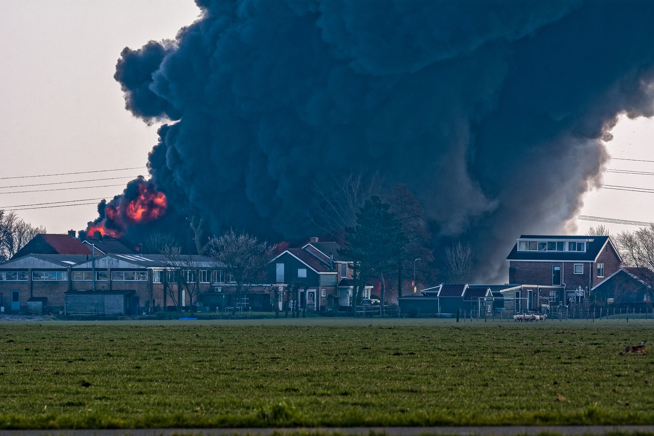 집단휴진 병원 휴진여부 확인하기 (문 연 병원 확인하기)