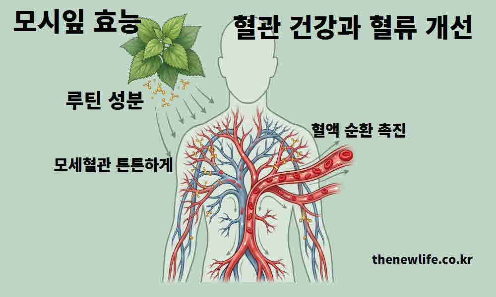 모시잎 효능 혈관 건강 혈류 개선