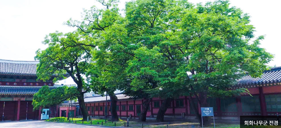 오얏꽃등 밝힌 창덕궁의 밤 티켓팅 일정 정보