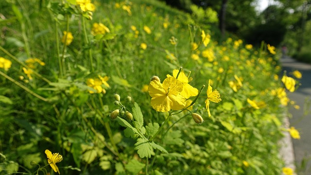 초기이유식 실패하는 이유 TOP 5