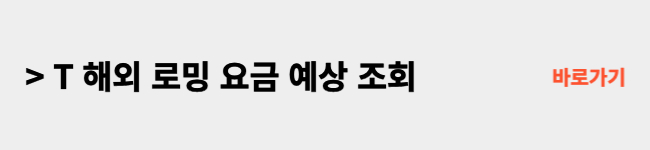 T해외-로밍-요금바로-조회