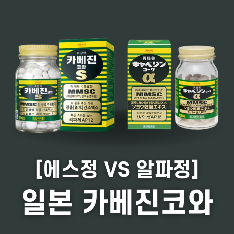 일본 카베진 에스 알파 차이