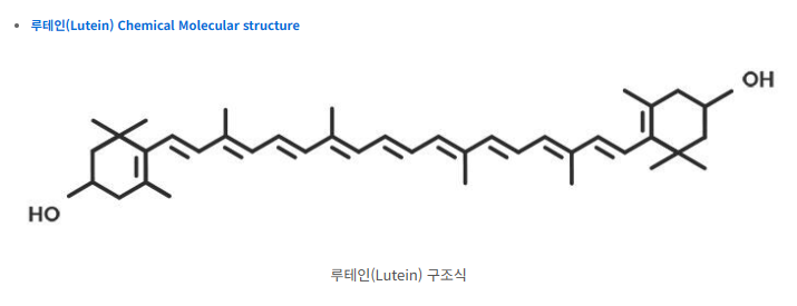 루테인 지아잔틴의 차이점과 효능 및 부작용 그리고 일일 권장 섭취량
