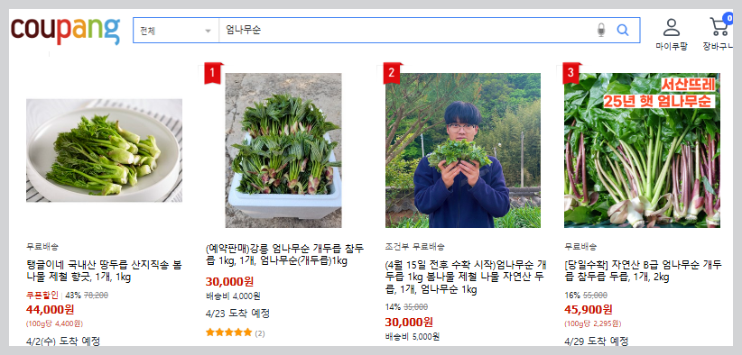 엄나무순 최저가 비교 구매-쿠팡