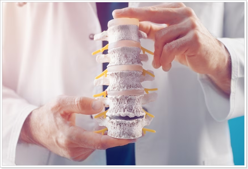 몸의 중심 척추 디스크의 원인과 증상 치료법 및 운동법 안내