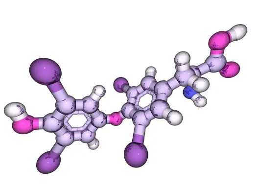 갑상선 기능 저하증 원인 증상 치료방법