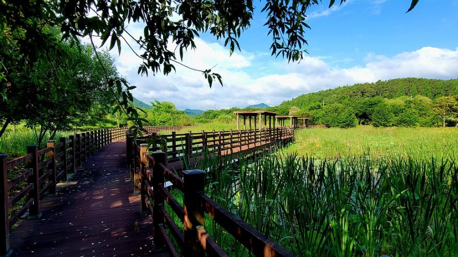 보성녹차휴게소-주변관광지-주암호-생태습지