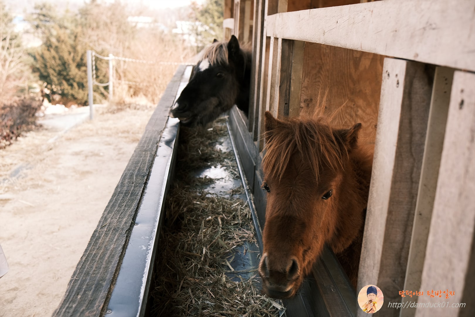 용인곤충테마파크 마굿간