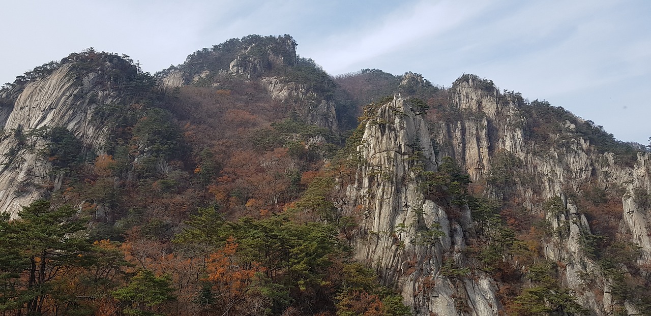 운악산의 바위와 소나무들