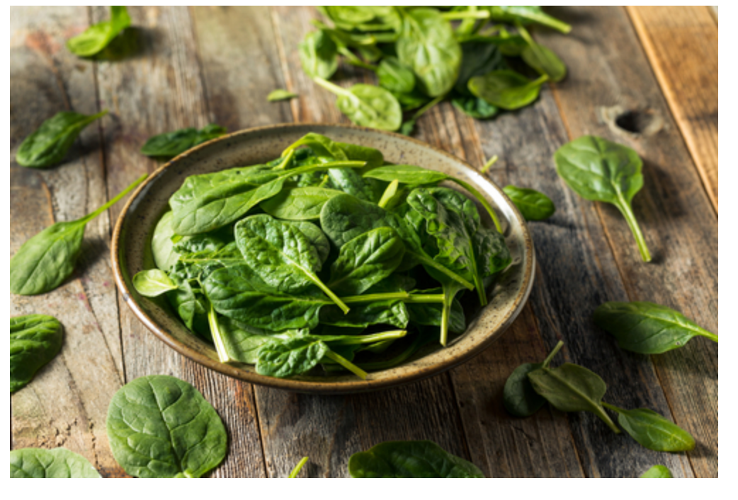 시금치 야채사진