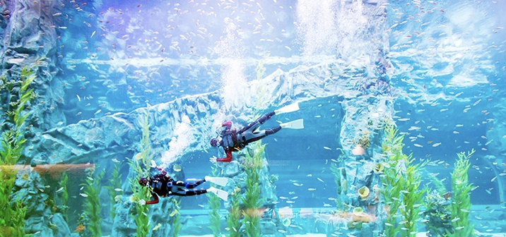 롯데월드 아쿠아리움 이미지