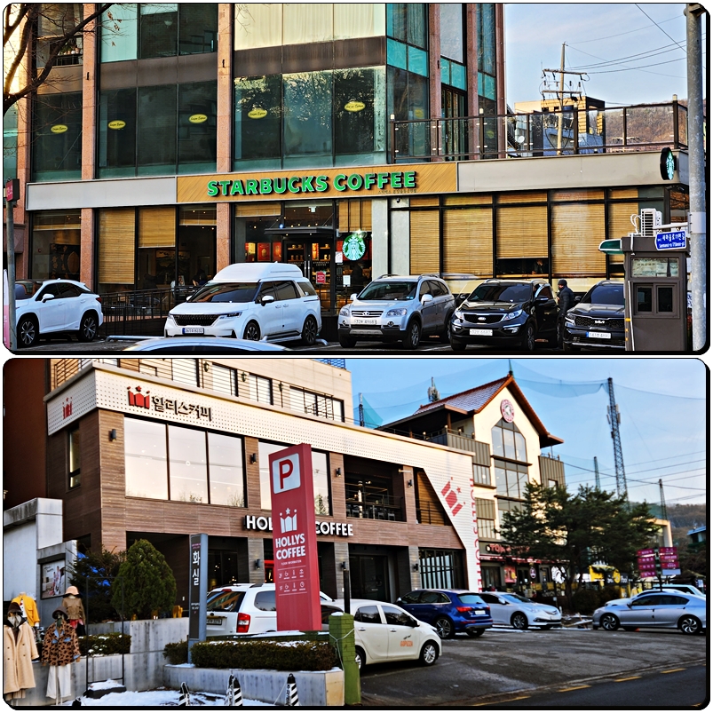 율동공원 나폴레옹