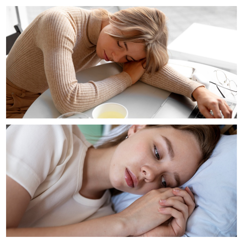 갱년기 영양제 효과 효능에 도움 프로바이오틱스