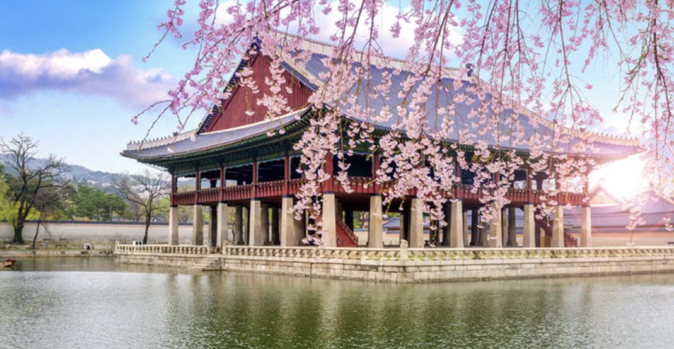 2024 경복궁 별빛야행 & 생과방 기간 요금 예약방법 취소표