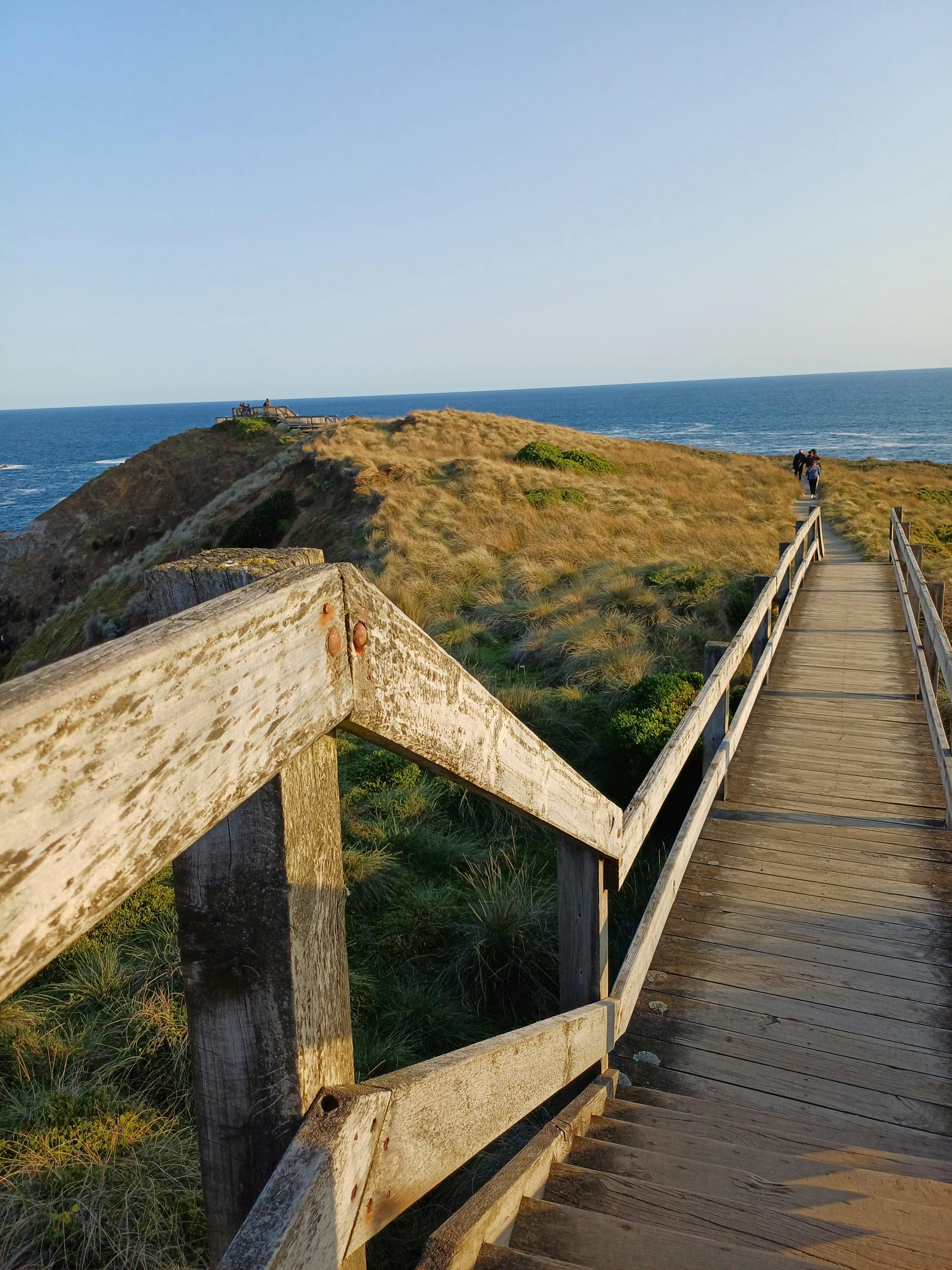 2026 코리아 둘레길 지도신청