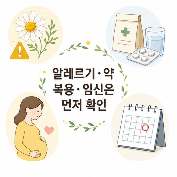국화과 알레르기, 약 복용, 임신, 수술 전 확인이 필요한 카모마일 차 주의사항