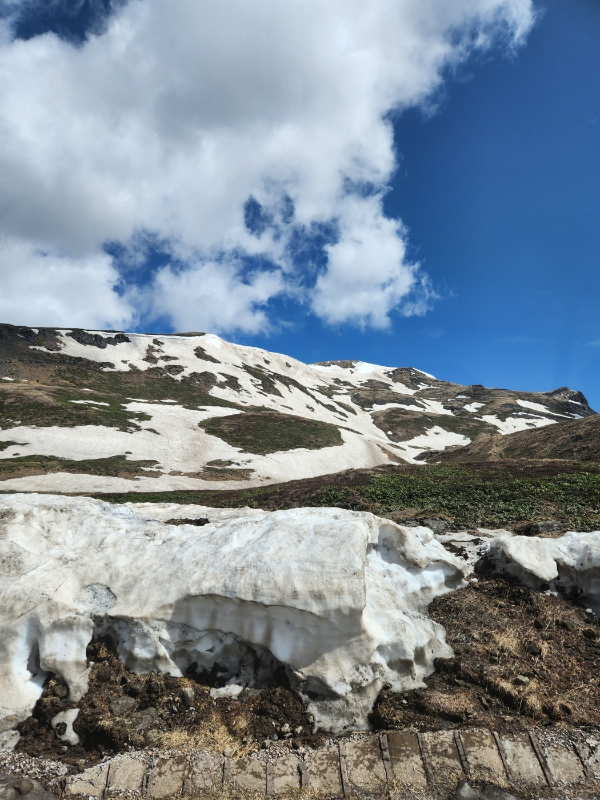 작은 셔틀로 계단 밑까지 이동 중에 만나 모습