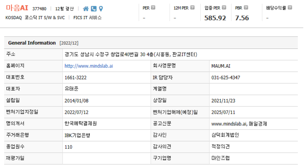 마음AI 기업개요