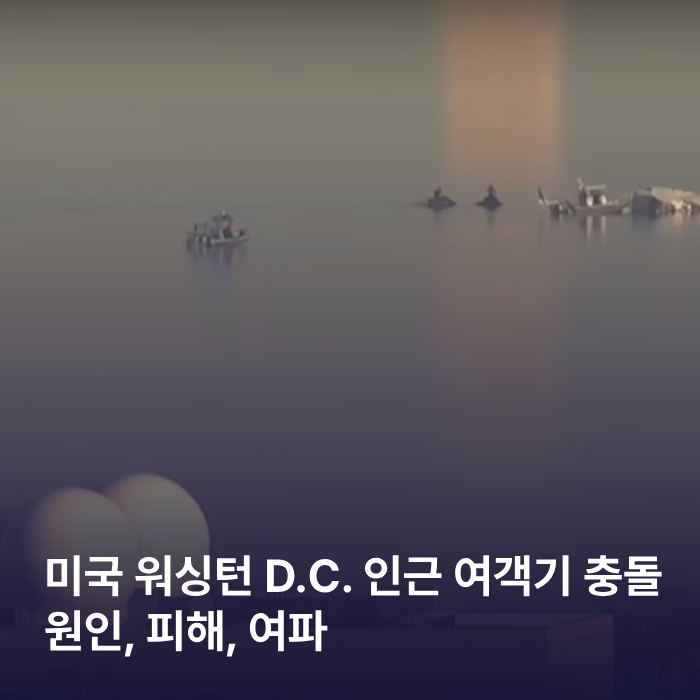 미국 워싱턴 D.C. 인근 여객기 충돌 사건 원인, 피해, 여파