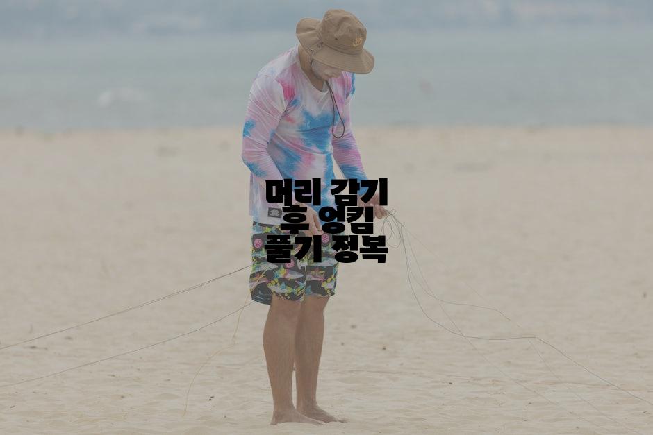 머리 감기 후 엉킴 풀기 정복