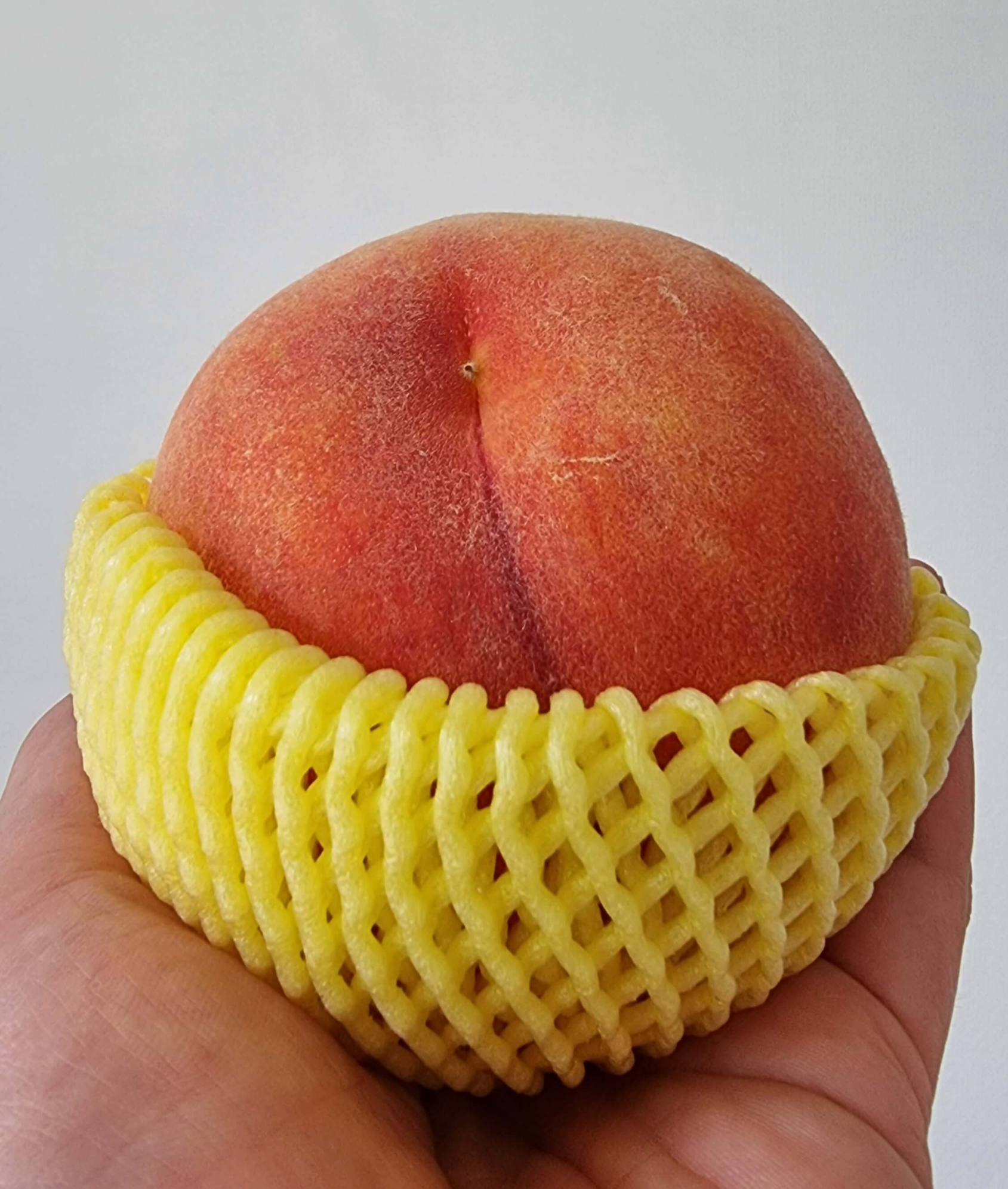 복숭아를 한손에 잡아봄