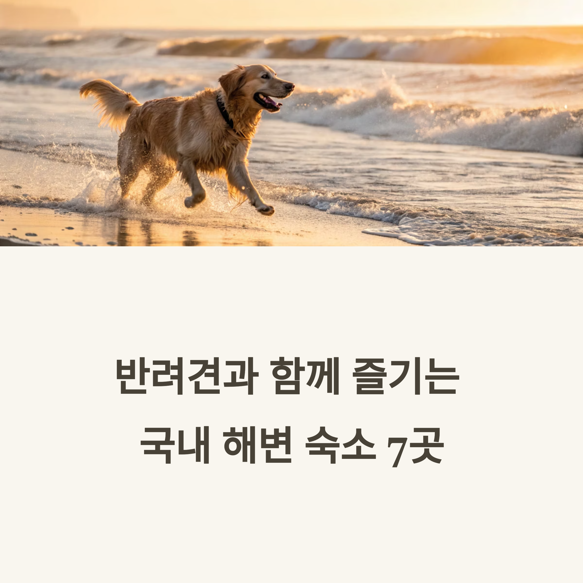 국내 해변 숙소 추천 베스트 7
