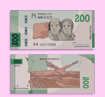 현금 영수증 조회