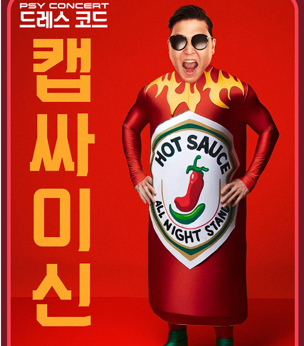 싸이콘서트