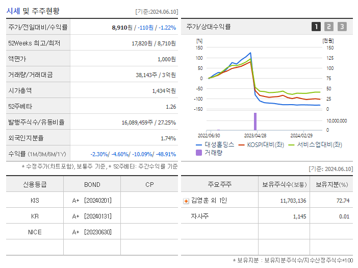 대성홀딩스_기업개요