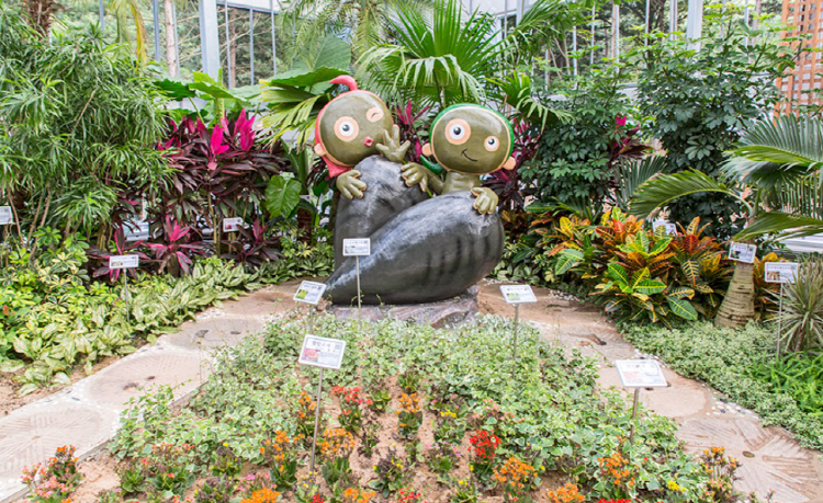 보령 무궁화수목원