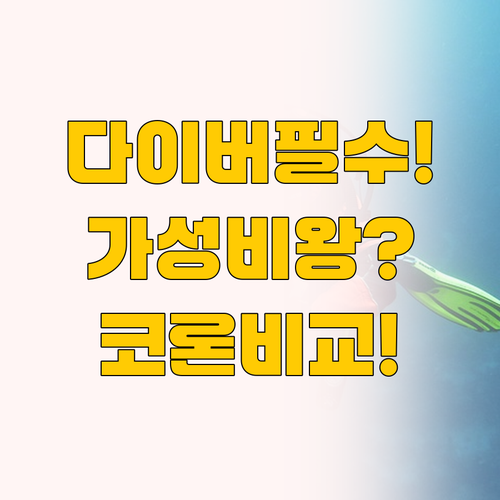 다이버를 위한 깊은 수영장부터 가성비..