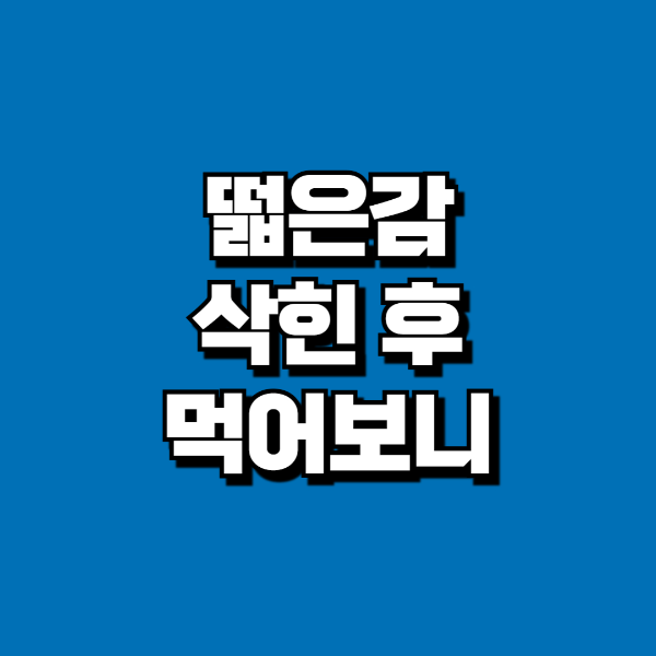 떫은감 삭히기 후기