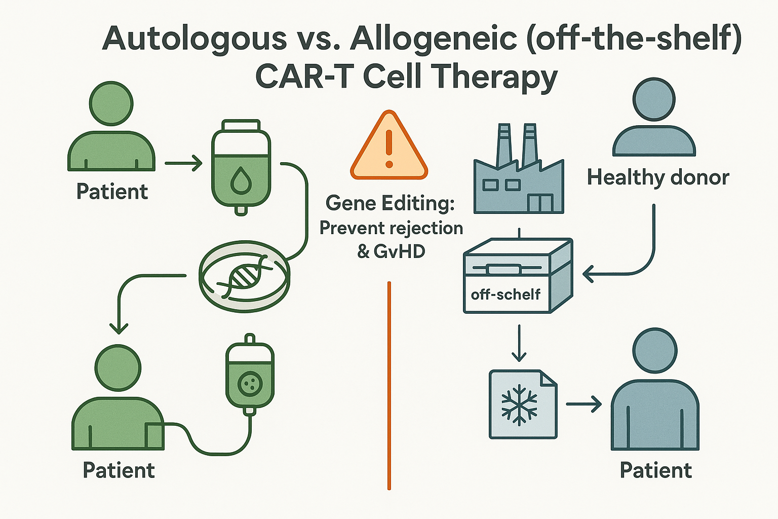 세계 최초, 다발성 경화증 환자에게 적용된 &lsquo;오프더쉘프 CAR-T 치료&rsquo;의 의미