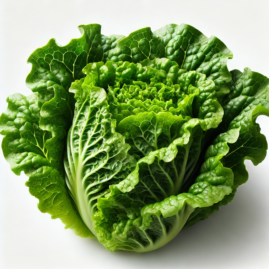 쌈추(상추)의 영양과 효능 – 건강을 위한 필수 채소!