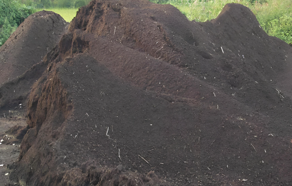 이탄(Peat)